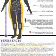 How Stress Affects The Body
