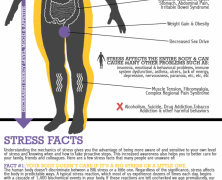 How Stress Affects The Body