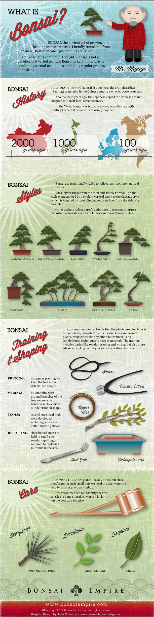 Bonsai Trees for Dummies infographic
