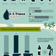 Farm Water Conservation