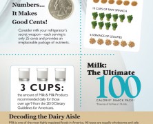 All About Milk