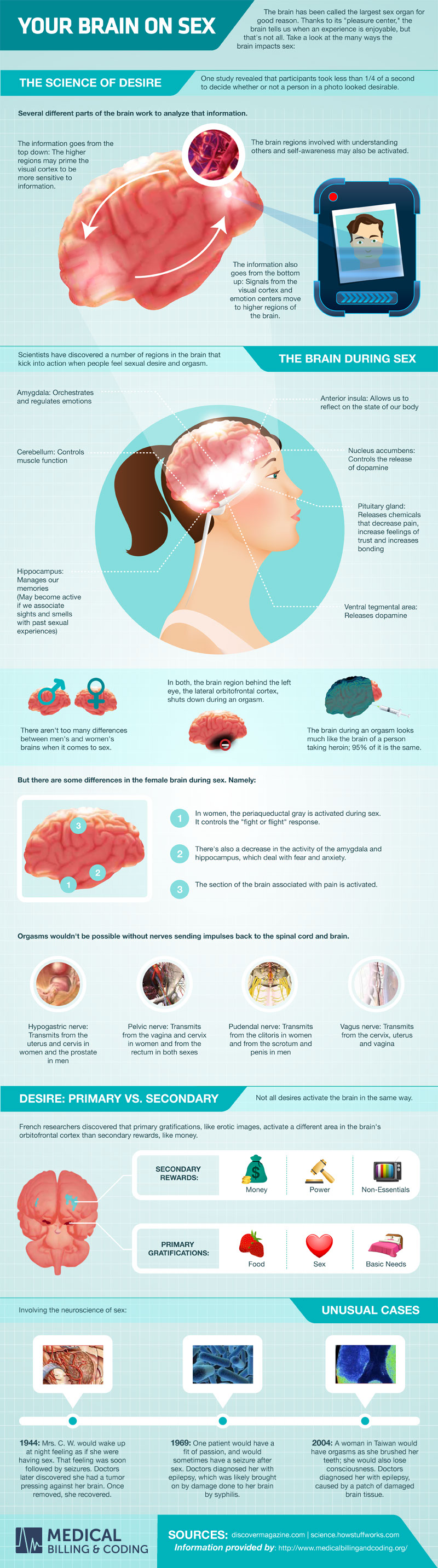 The Brain On Sex Infographics Mania