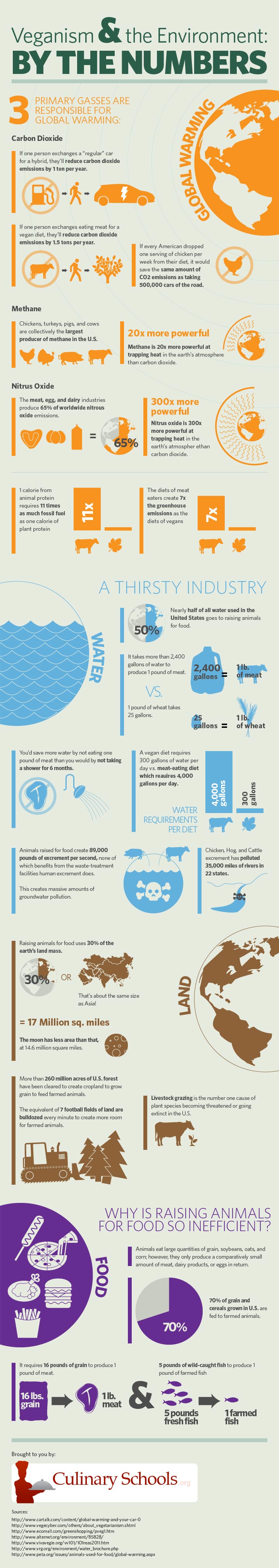 Veganism-And-The-Environment-infographic