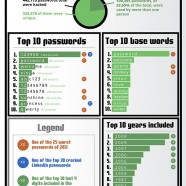 Password Security Statistics 2012