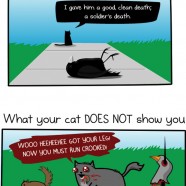 Cats Love Murder