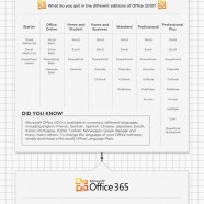 Microsoft Office History