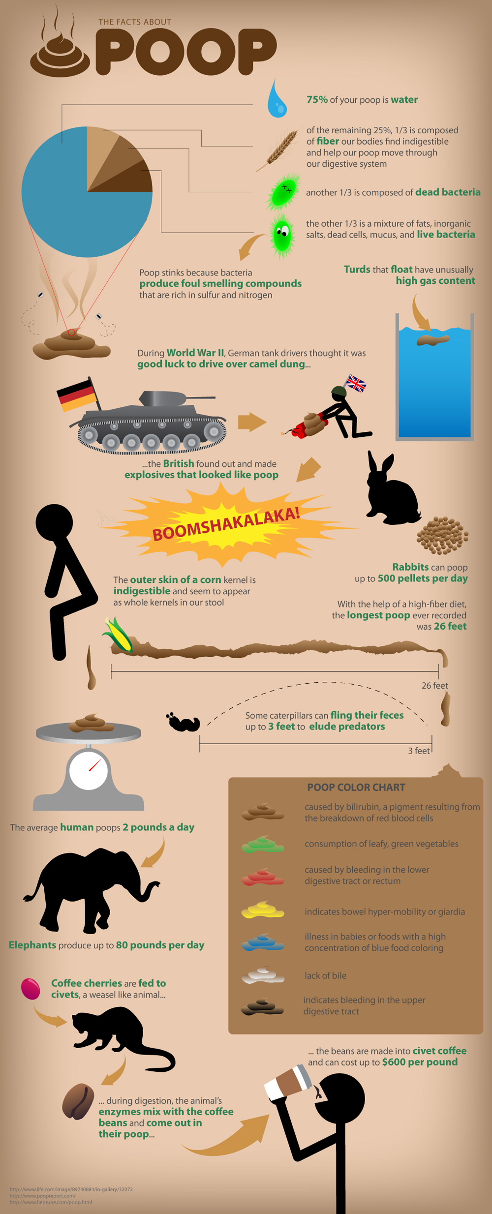All About Poop-Infographic