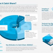 Fishery Catch Share Definition