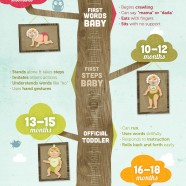 Baby Growth Guide