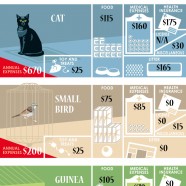 Annual Pet Cost