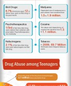 Drugs in the US