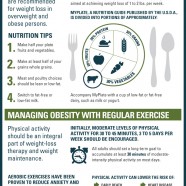 Dealing with Obesity