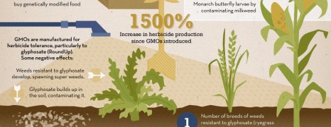 American GMO Stories