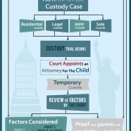 Custody Process NY