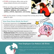 Job Stress Costs
