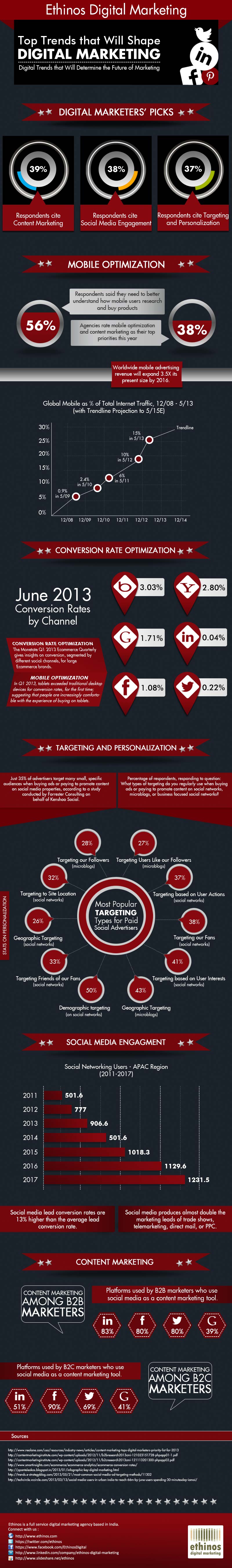 Digital Marketing Trends 2013-Infographic