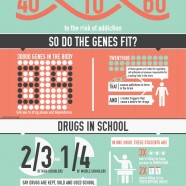 Genetics and Drug Addiction