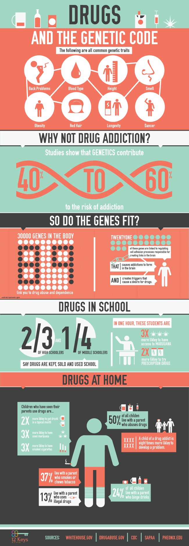 Genetics and Drug Addiction-Infographic