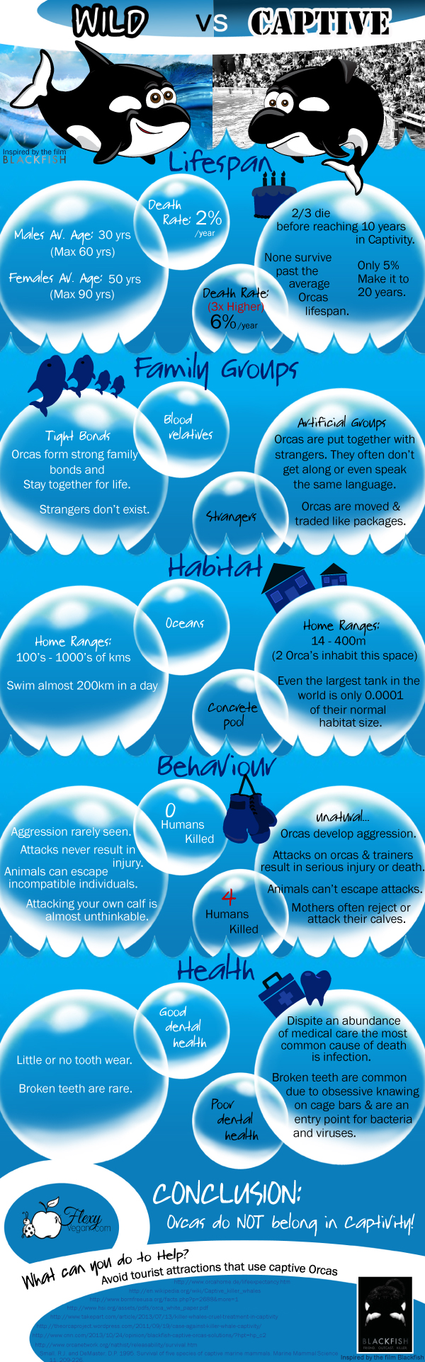 Orcas in Captivity-Infographic