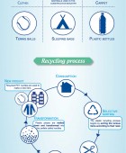 Pet Recycling Process