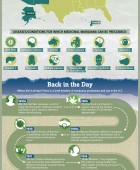 History of Marijuana Use in the US