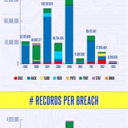 Cyber Breach 2013