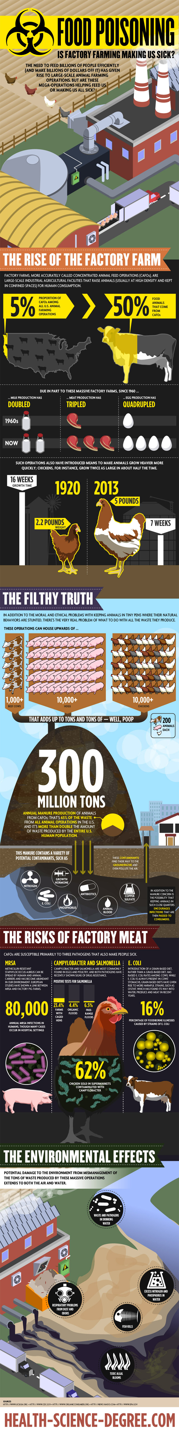 Risks of Factory Farming-Infographic