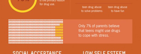 Drug Use and Conformity